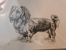 Dashund sausage Dog Print